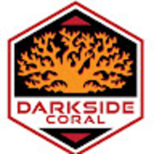 Meet your Posher, Wayne